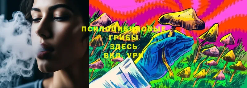 Псилоцибиновые грибы Psilocybe  наркошоп  Вязники 